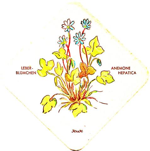 weisenbach ra-bw katz blumen raute 2a (185-leberblmchen)
